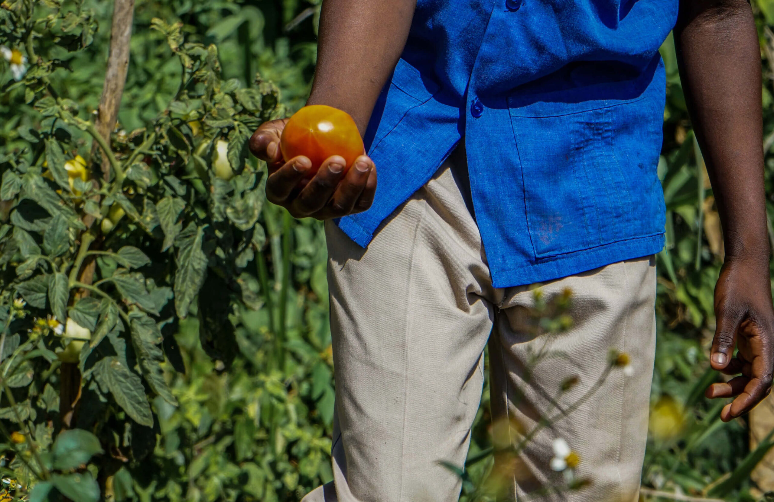 Sustainable Consumption Report Designing A Better World